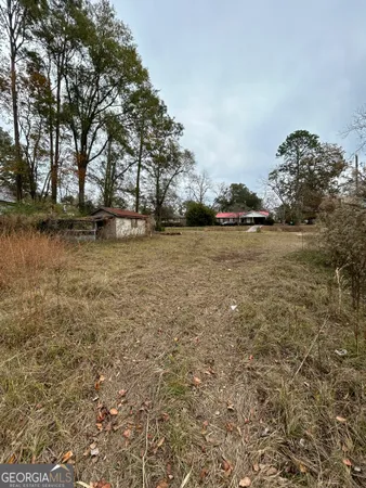 $10,000 | 0 Center Avenue, McRae-Helena, GA 31037