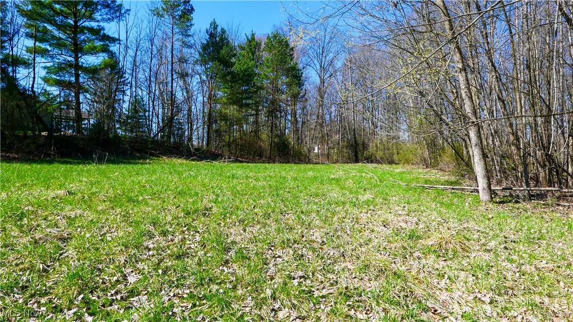 4947 Wayland Road Diamond, OH 44412 - Photo 35 of 43 View of yard
