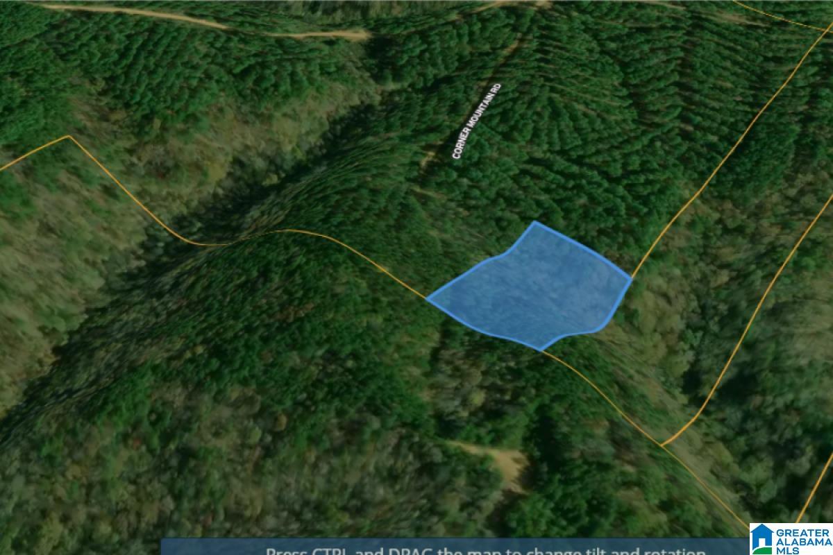 Corner Mountain Road Carbon Hill, AL 35549 - Photo 3 of 8