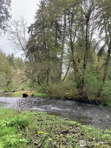 a big yard with lots of green space