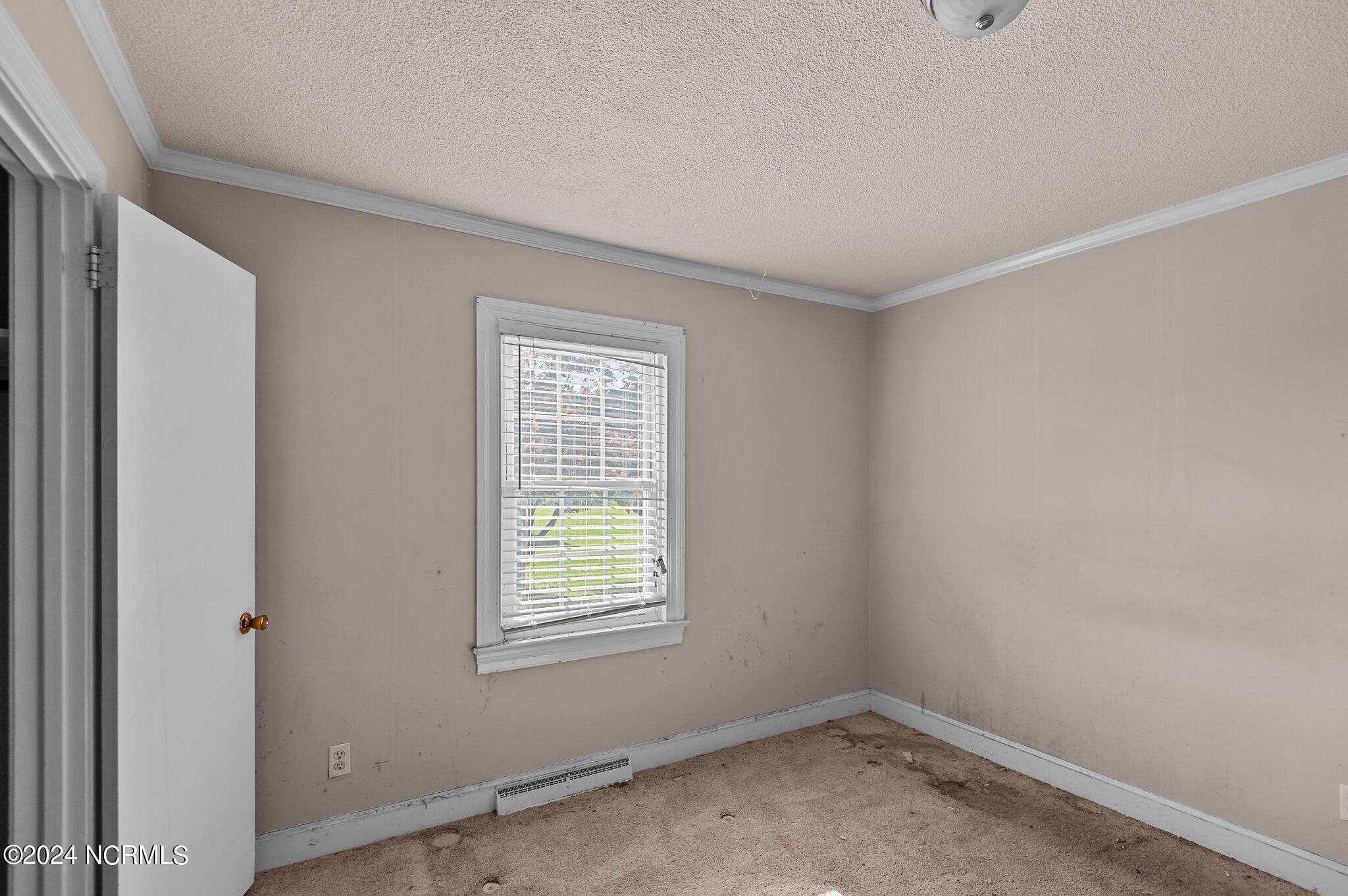 3335 Saw Mill Road Grifton, NC 28530 - Photo 24 of 44 24-web-or-mls-_DSC4765