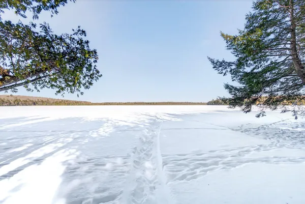 $47,000 | 14-l 09 Whites Pond Camp Road, Palmyra, ME 04965