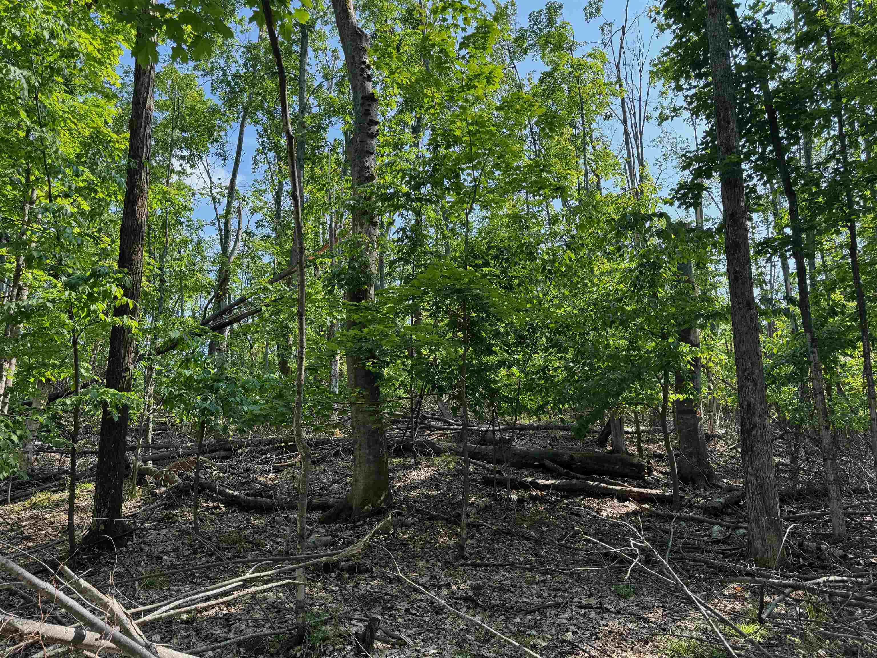 6740 Pheasant Run Road Gaylord, MI 49735 - Photo 18 of 27 1935491-a1d50b1c-256b-4f91-b200-9746be9ca7dd.JPG