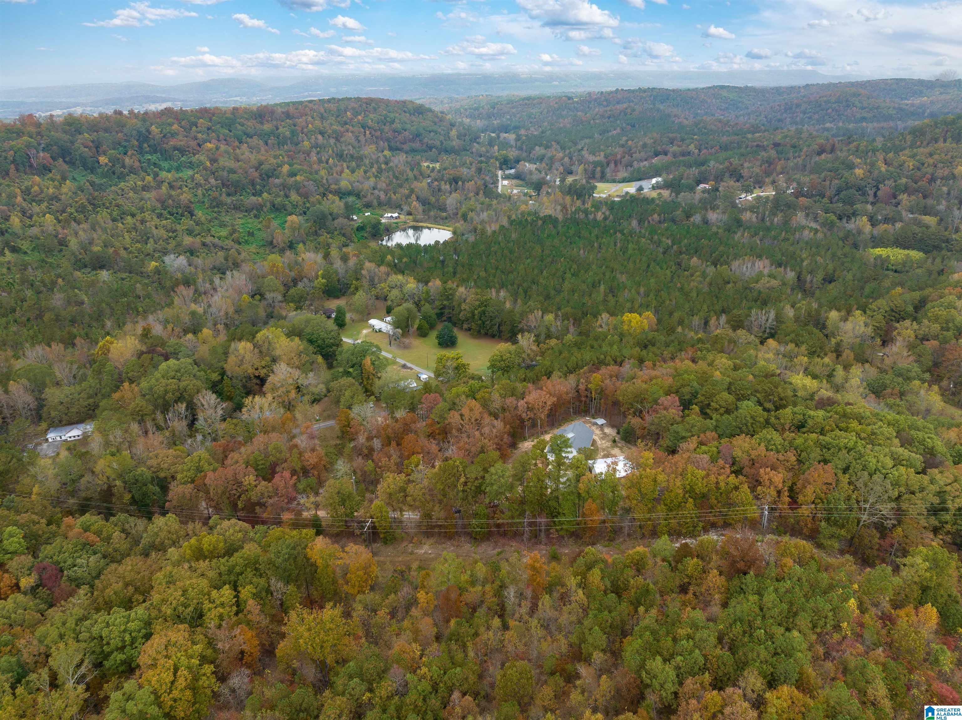 965 Patton Road Oneonta, AL 35121 - Photo 30 of 40 Gallery Image 30