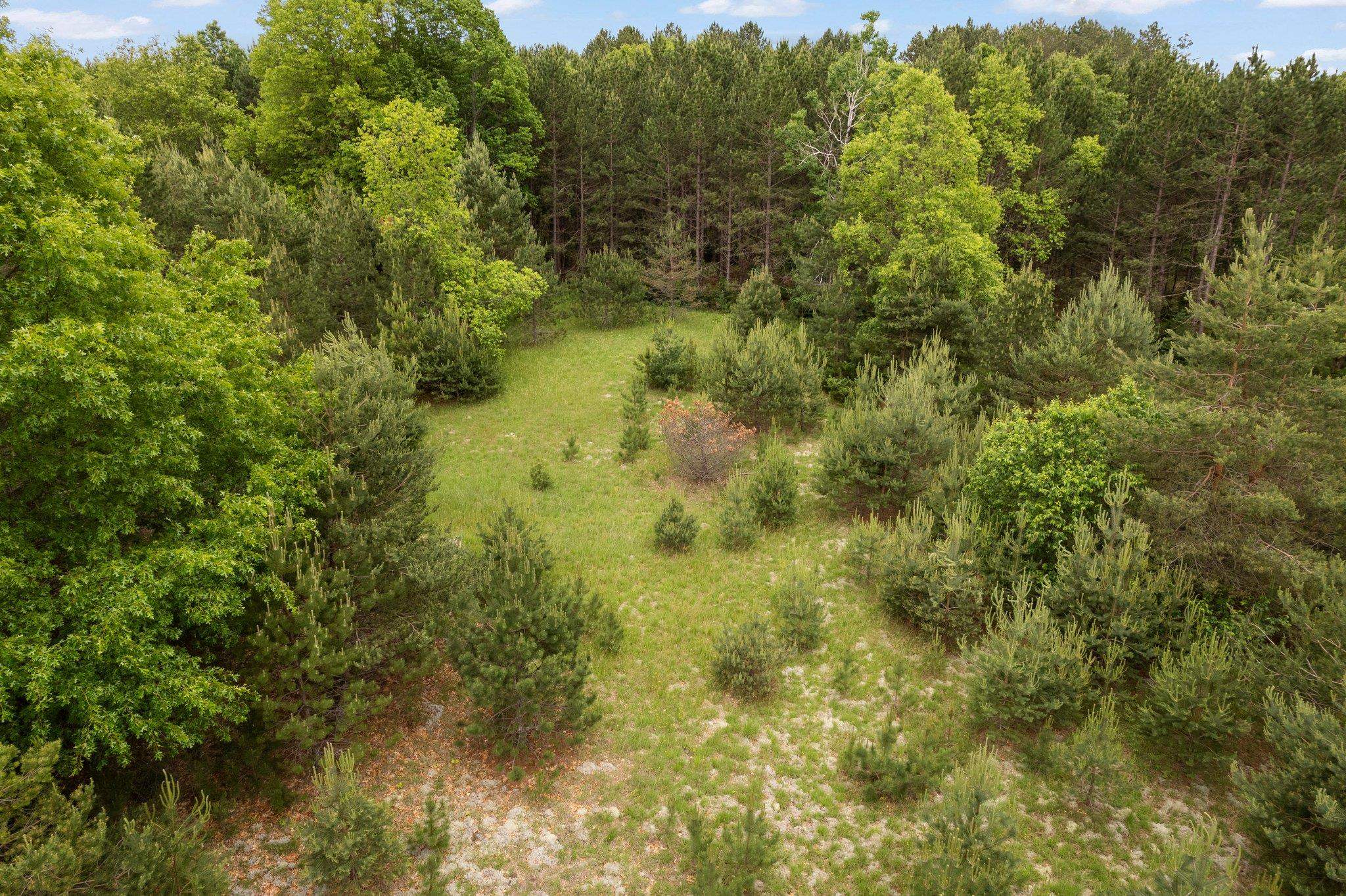 7416 Butler Road Southwest South Boardman, MI 49680 - Photo 14 of 18