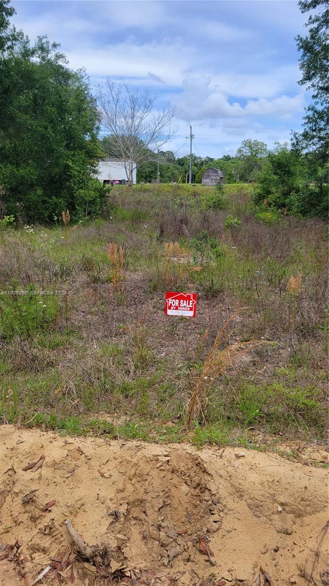 0 Lenore Avenue Interlachen, FL 32148 - Photo 2 of 5 a view of a road with a building in the background