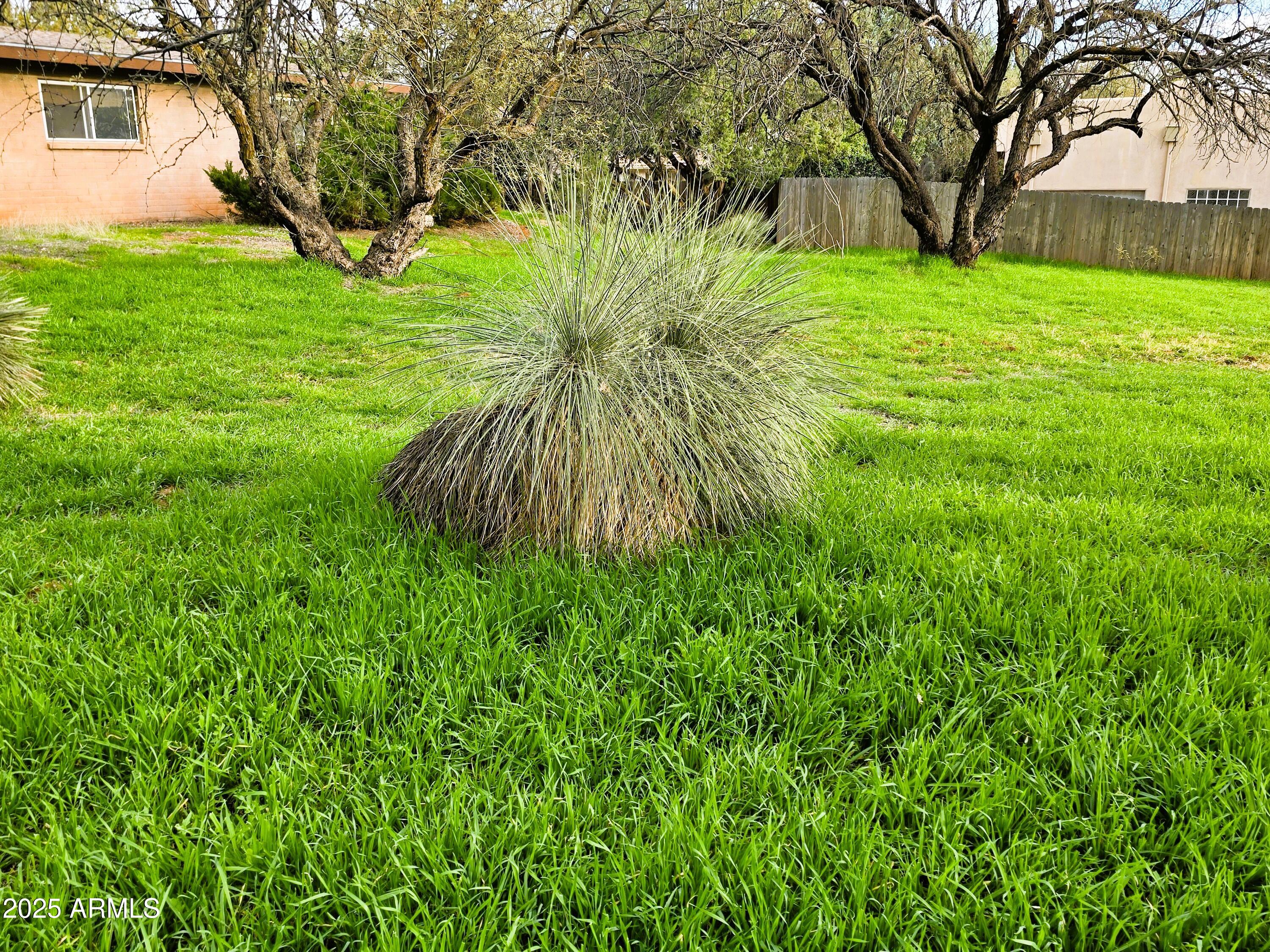 70 Courthouse Butte Road, Unit 114 Sedona, AZ 86351 - Photo 3 of 11 a view of a garden with a tree