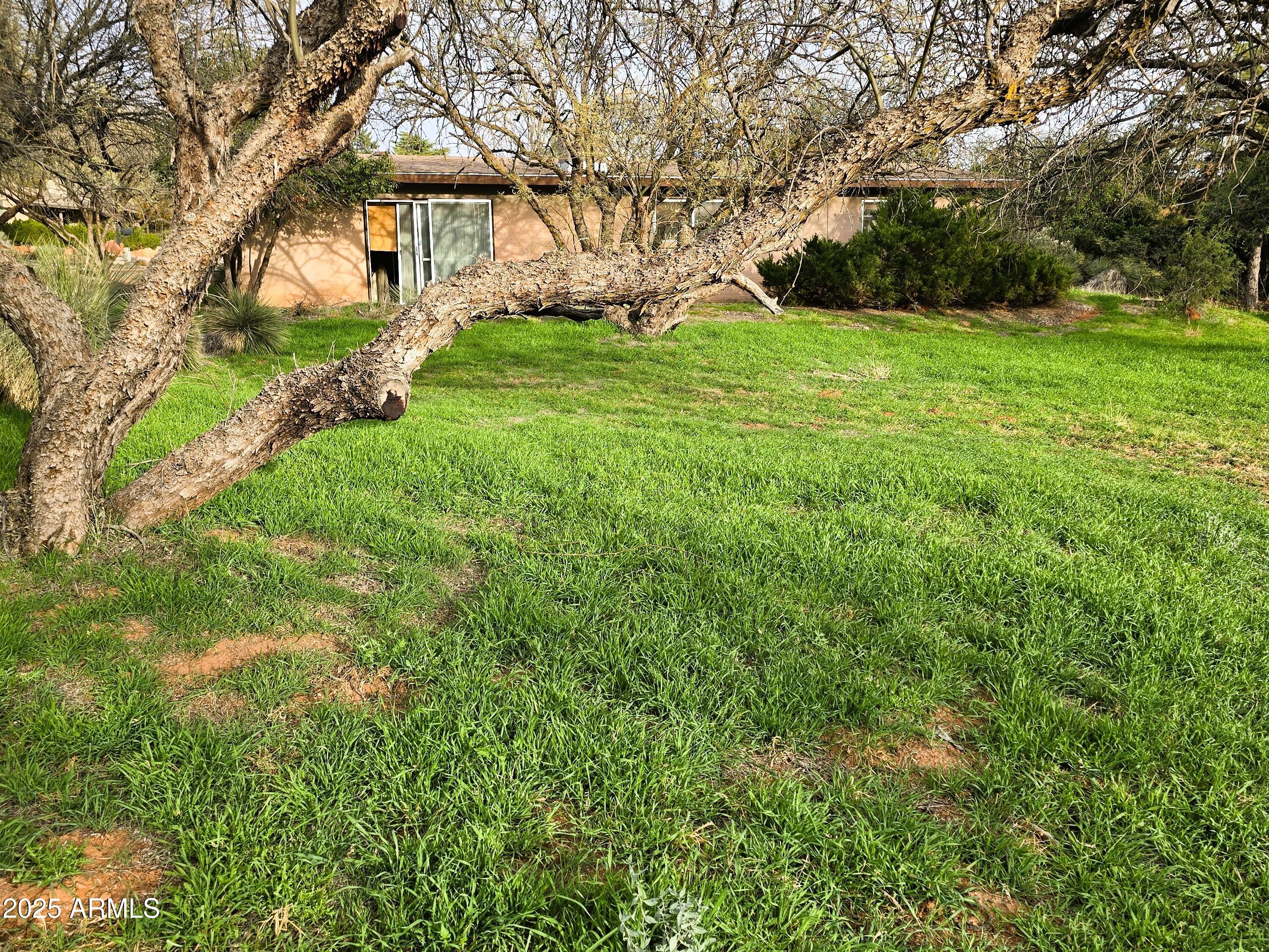 70 Courthouse Butte Road, Unit 114 Sedona, AZ 86351 - Photo 4 of 11 a view of a backyard with large trees