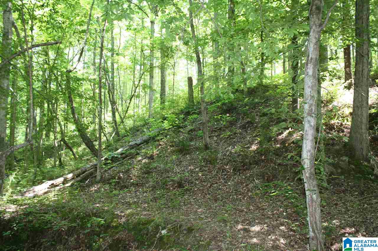 810 Weeks Drive, Unit 152 ACRES Delta, AL 36258 - Photo 11 of 24