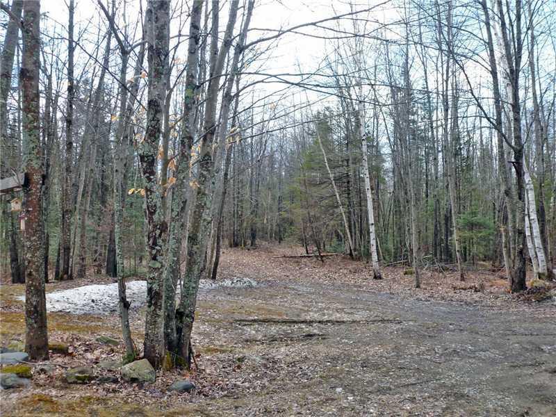 212 Lakeview Road Glenburn, ME 04401 - Photo 33 of 35 Yard/Garden.
