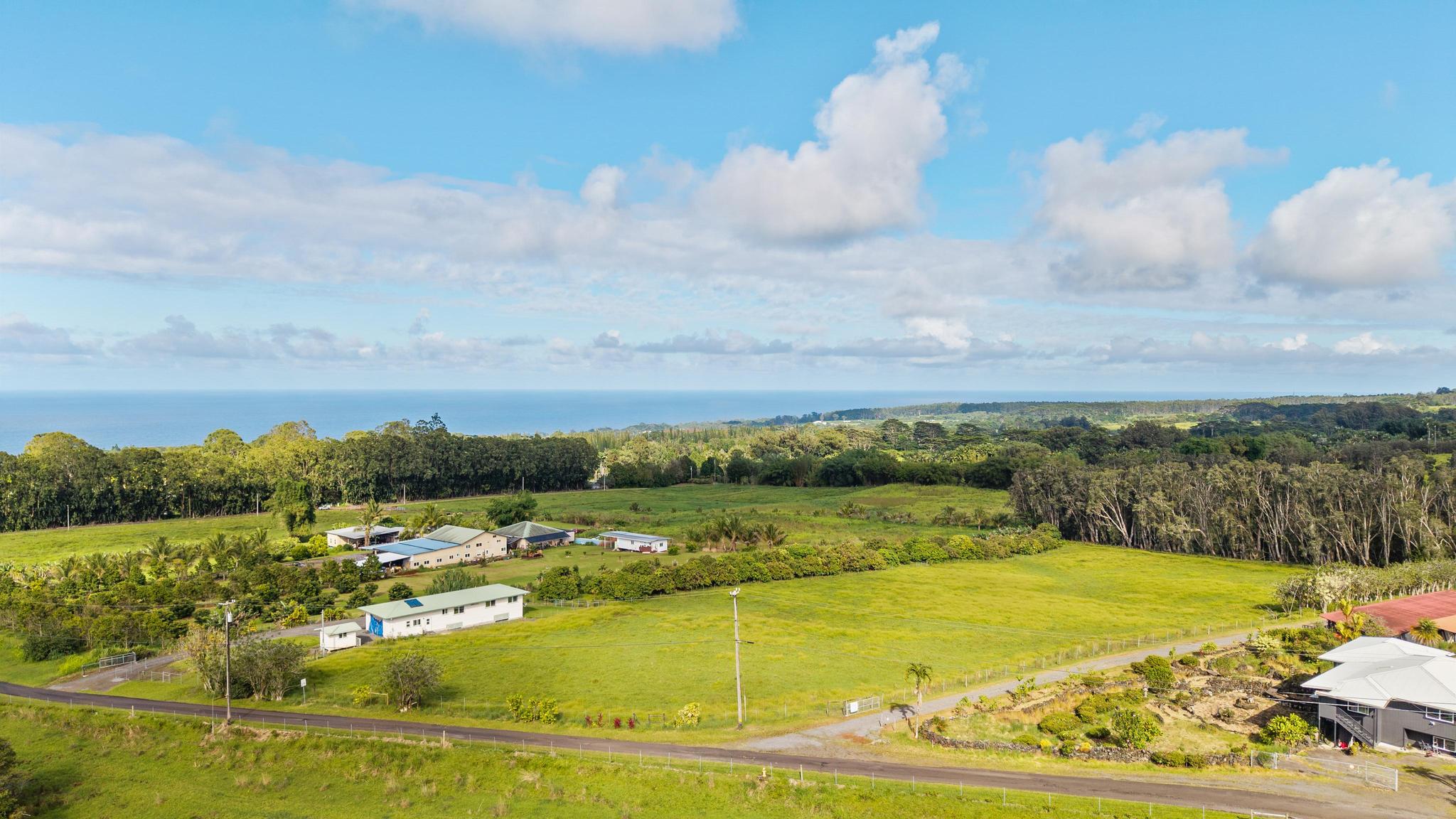 29-613 Lot Road Papaikou, HI 96781 - Photo 2 of 18