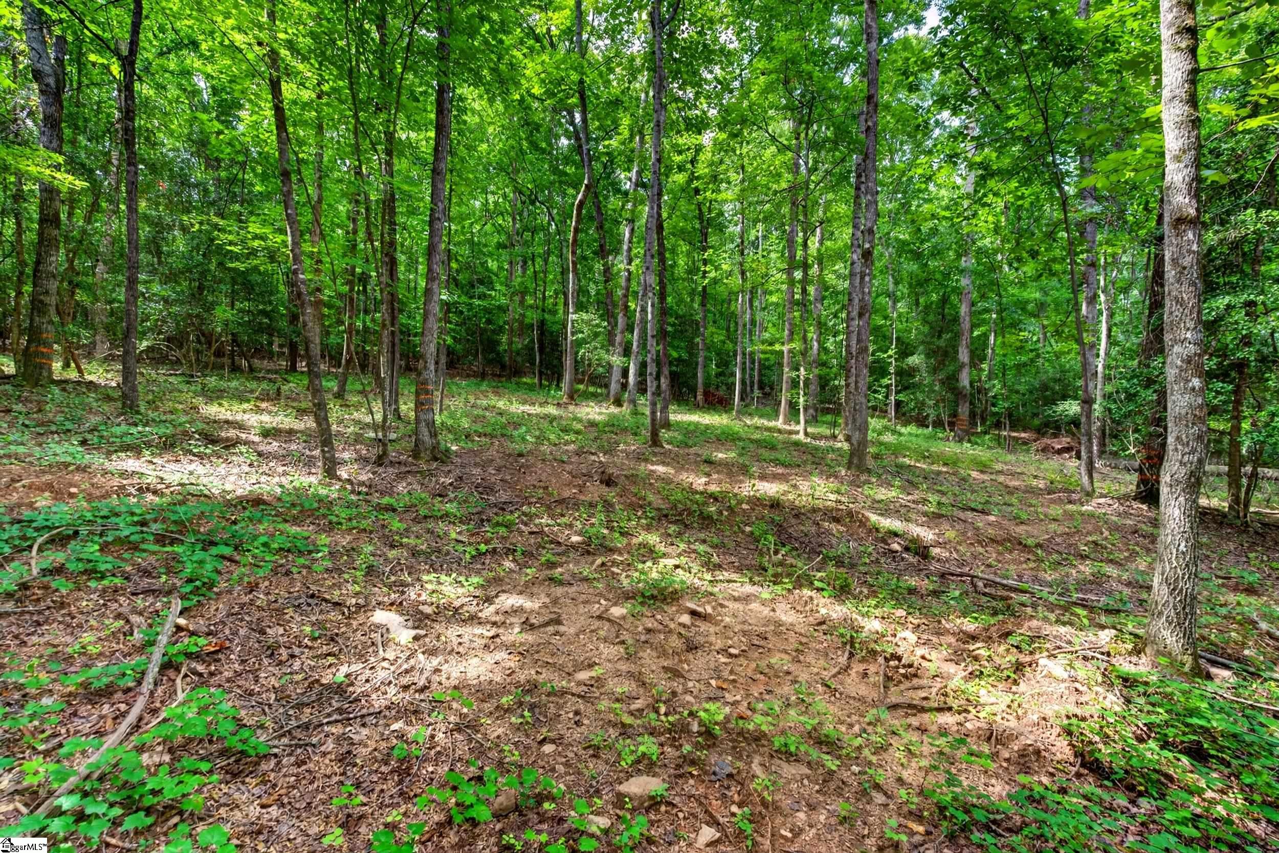 0 Mcfalls Circle Anderson, SC 29621 - Photo 8 of 30 Gallery Image 8