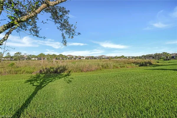 a view of a field with an ocean