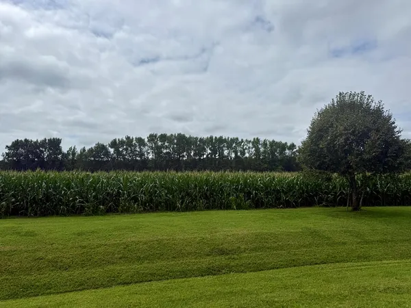 a view of a golf course with a lake