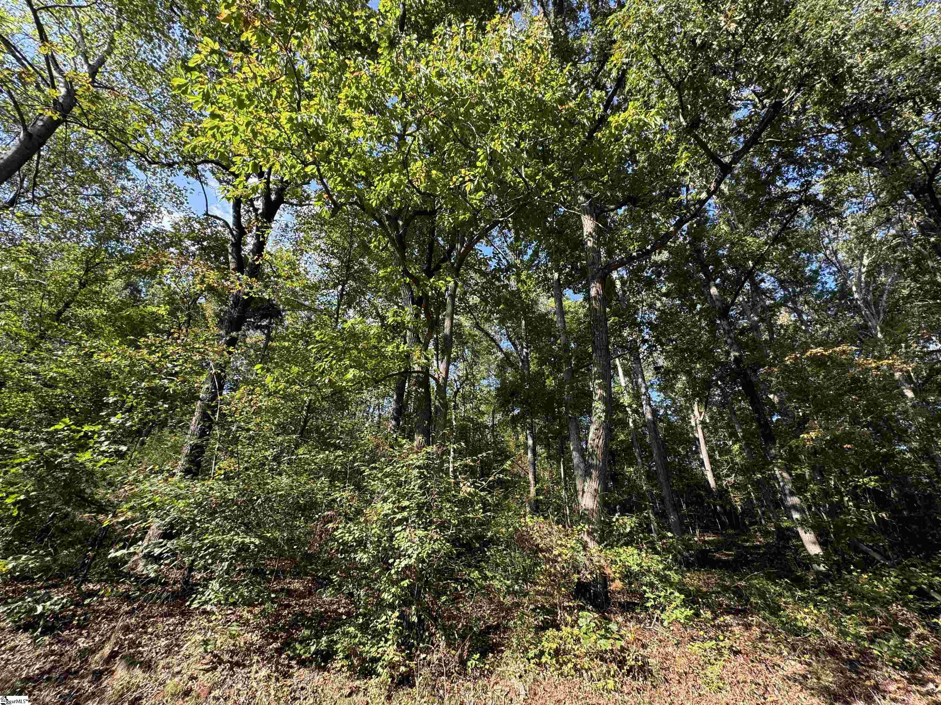 124 Donald Drive Pendleton, SC 29670 - Photo 32 of 35