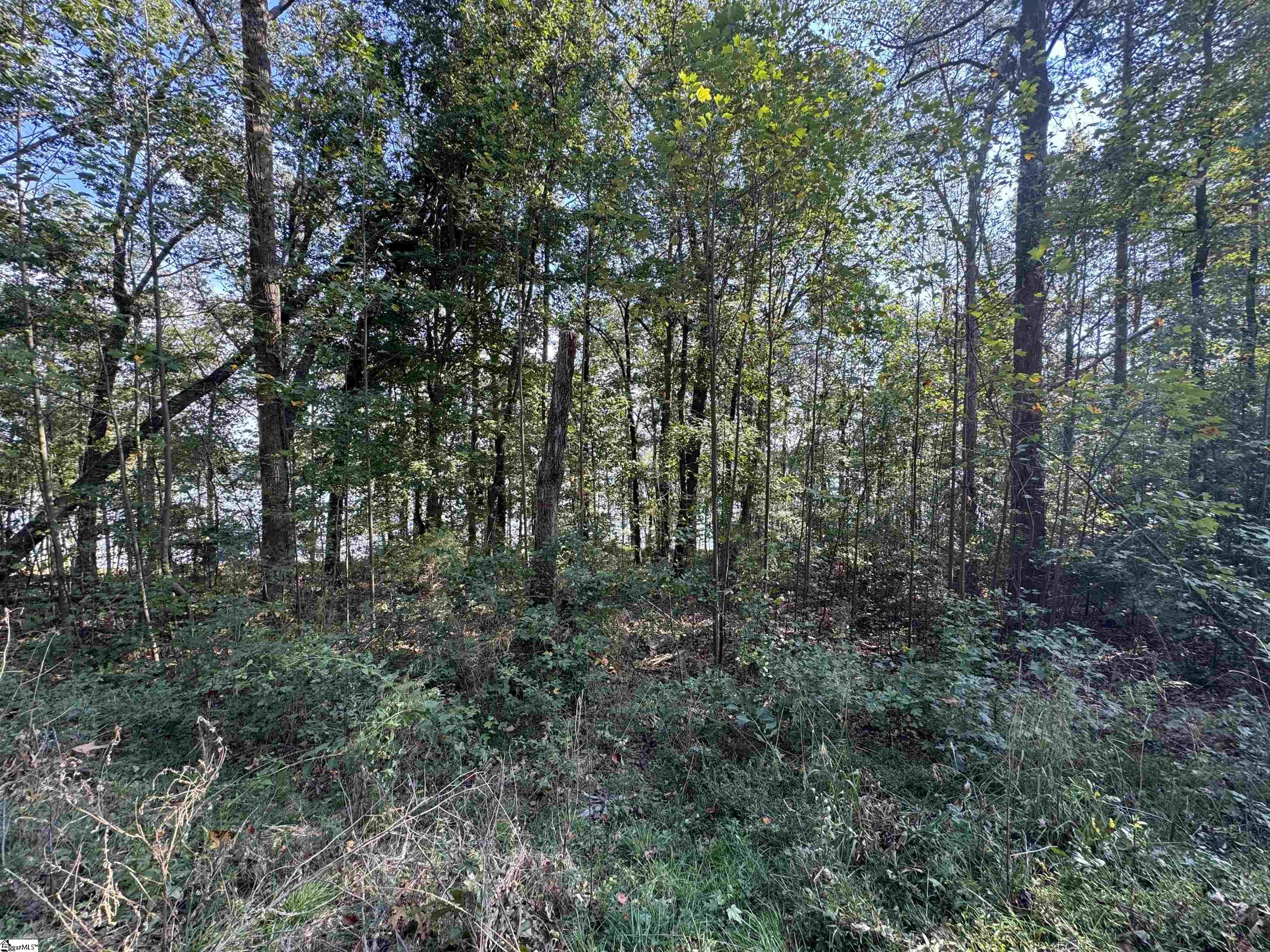 124 Donald Drive Pendleton, SC 29670 - Photo 33 of 35