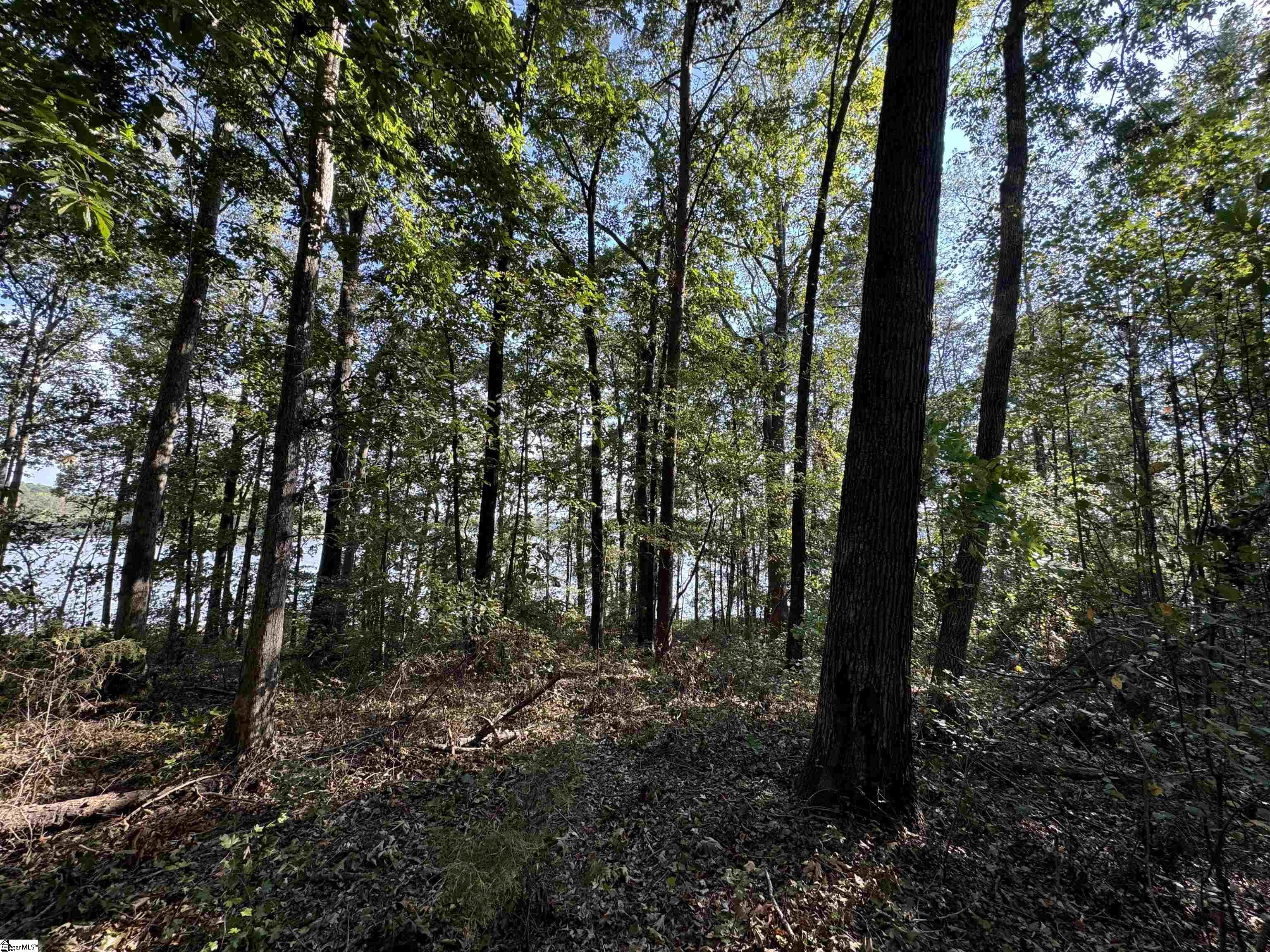 124 Donald Drive Pendleton, SC 29670 - Photo 34 of 35