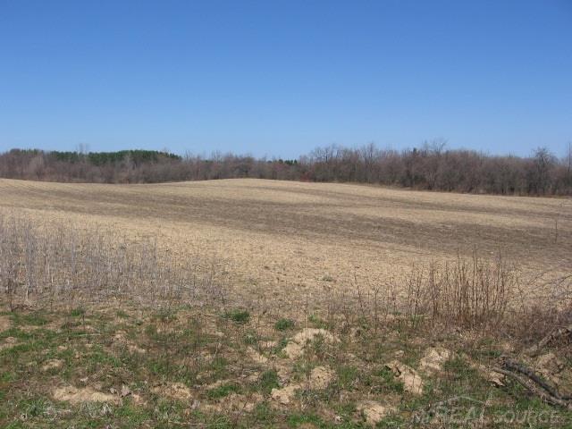 Vl Townsend Applegate, MI 48401 - Photo 25 of 31
