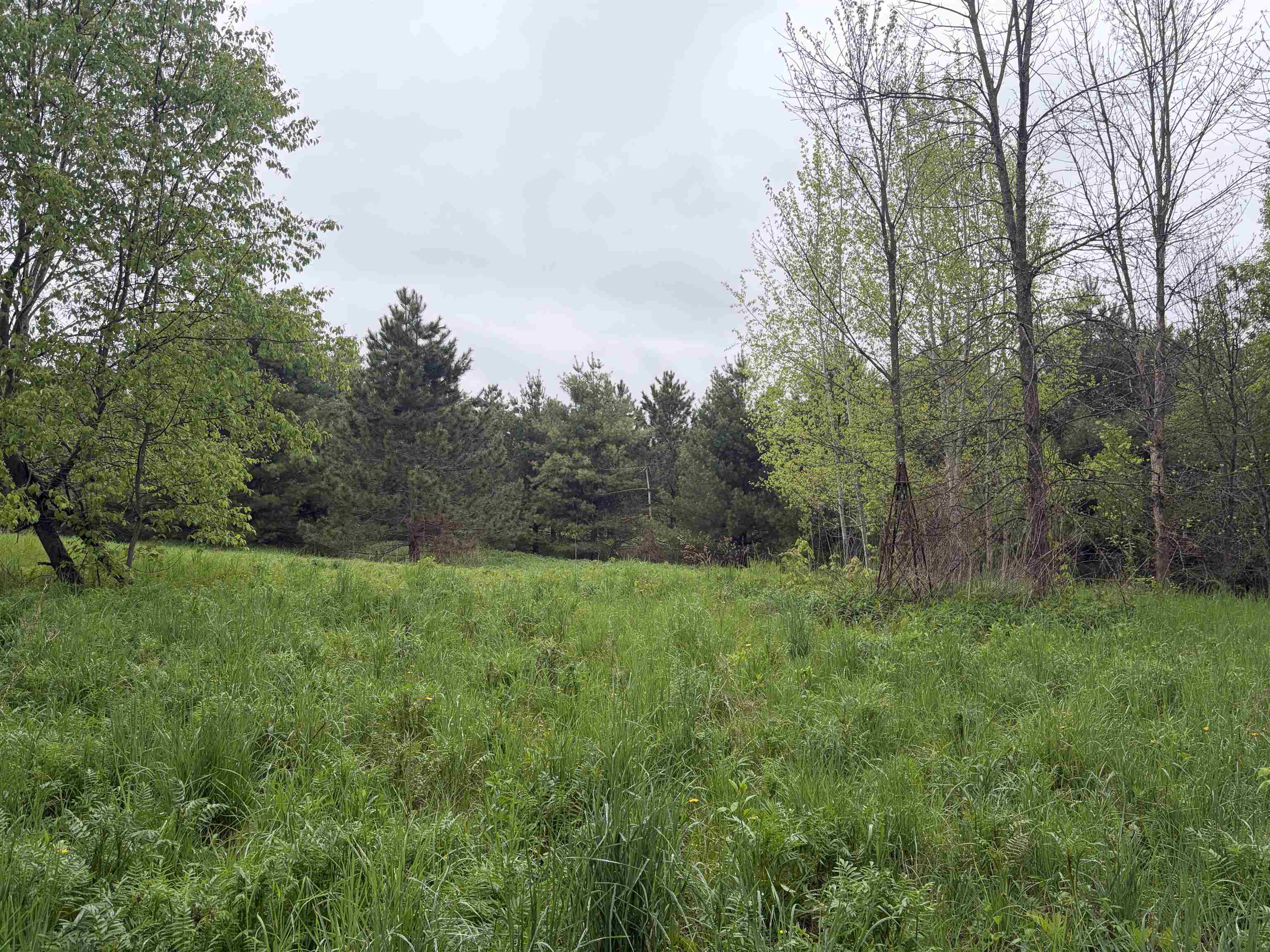 5755 350th Street Stanley, WI 54768 - Photo 11 of 16