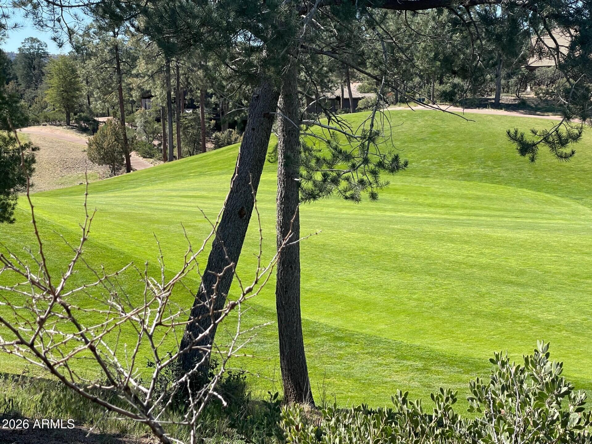 210 South Rim Club Drive, Unit 36 Payson, AZ 85541 - Photo 11 of 23 109