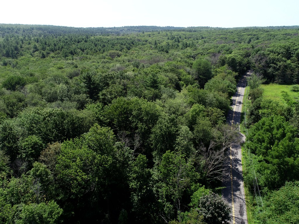 211 Mile Hill Road Boylston, MA 01505 - Photo 2 of 3