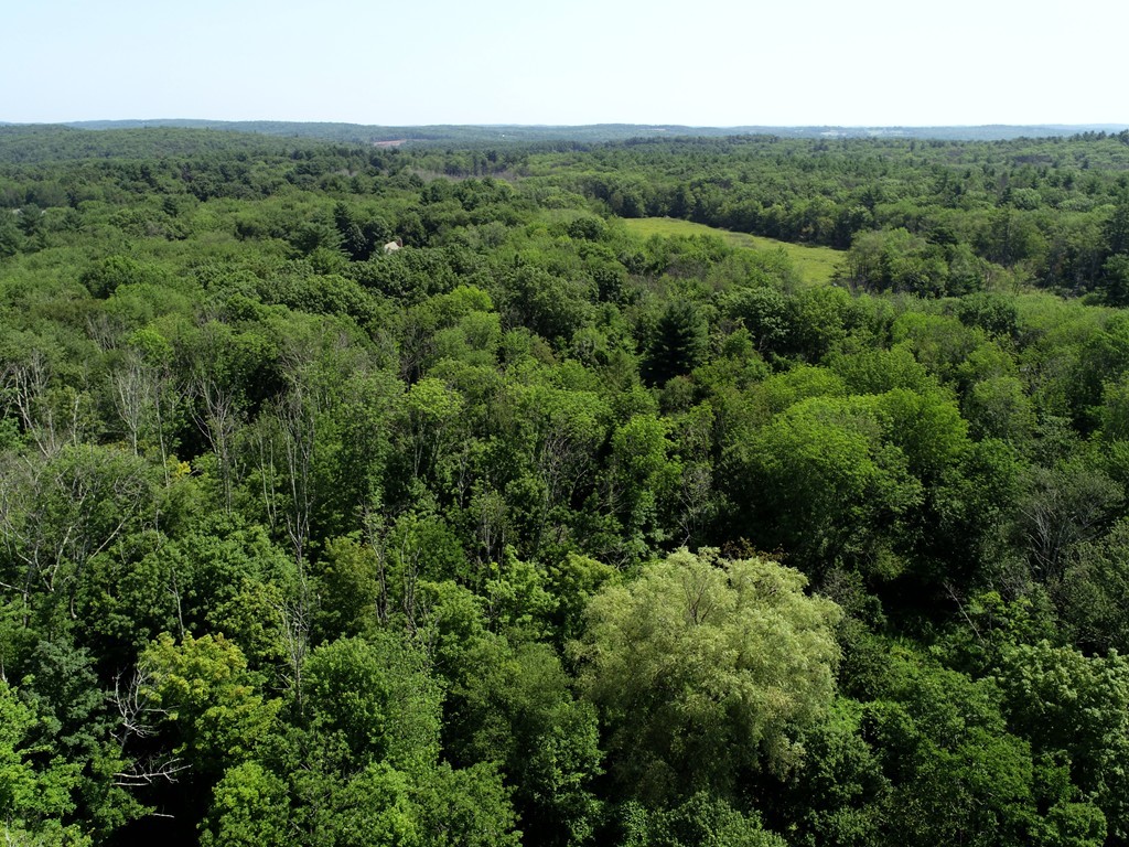 211 Mile Hill Road Boylston, MA 01505 - Photo 3 of 3