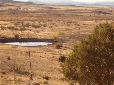 0 Pinery Canyon Road Willcox, AZ 85643 - Photo 3 of 7