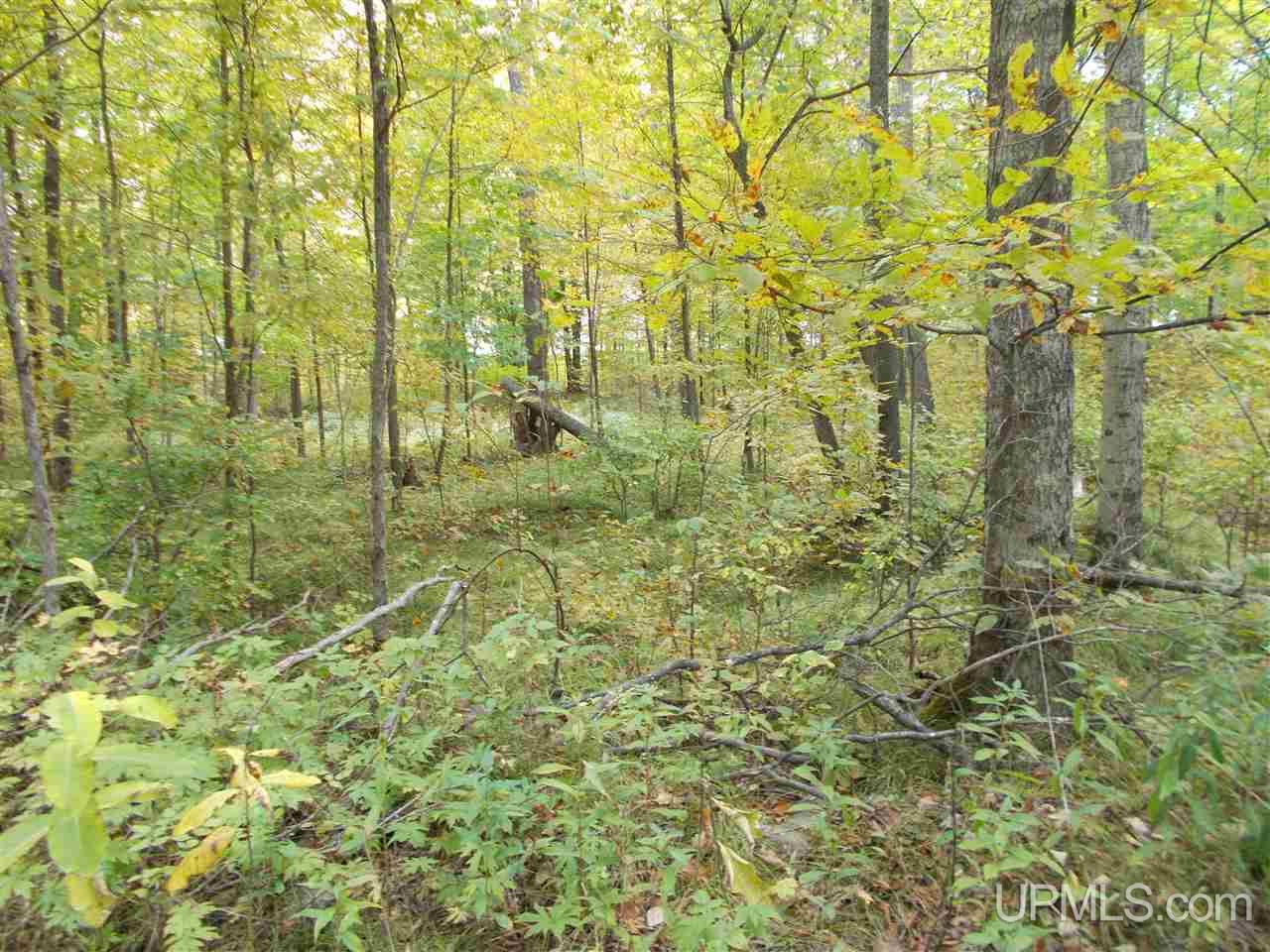 50-acres Camp Nine Road Ralph, MI 49877 - Photo 10 of 12