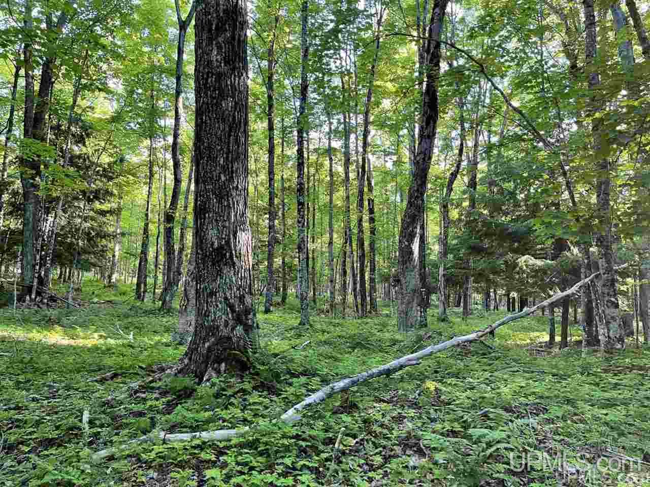 Tbd Tbd Saari Road Lanse, MI 49946 - Photo 17 of 27
