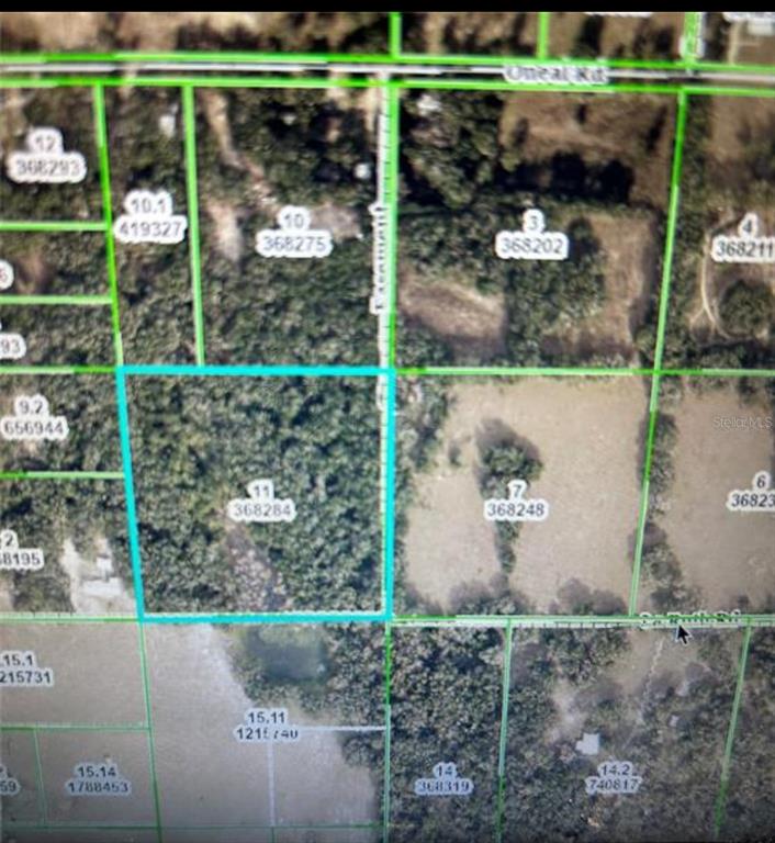 La Ruth Road Brooksville, FL 34601 - Photo 2 of 4