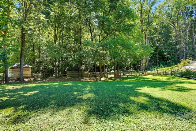 a view of a tree in a yard
