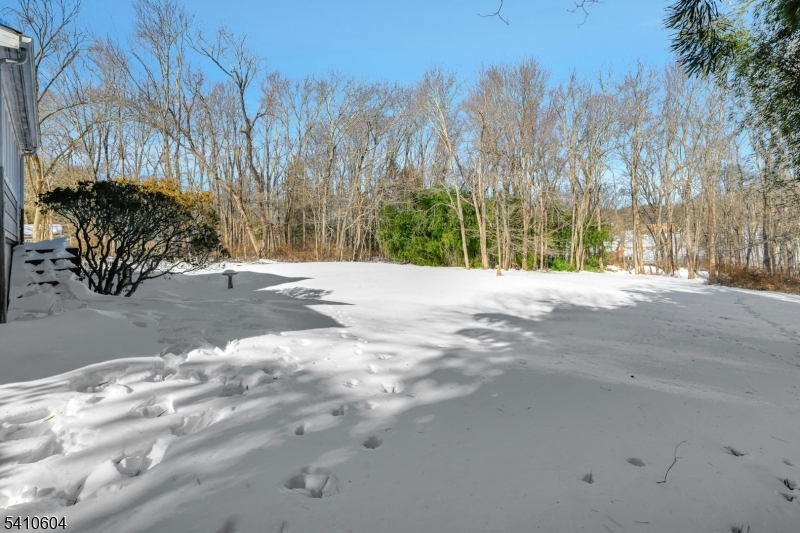 29 Village Road Morristown, NJ 07960 - Photo 25 of 26