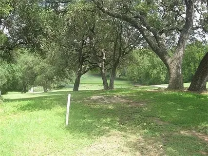 a view of a yard with a tree