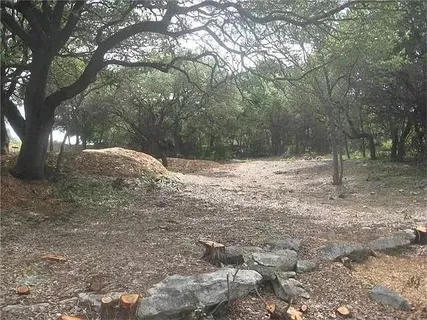 a view of side view of yard