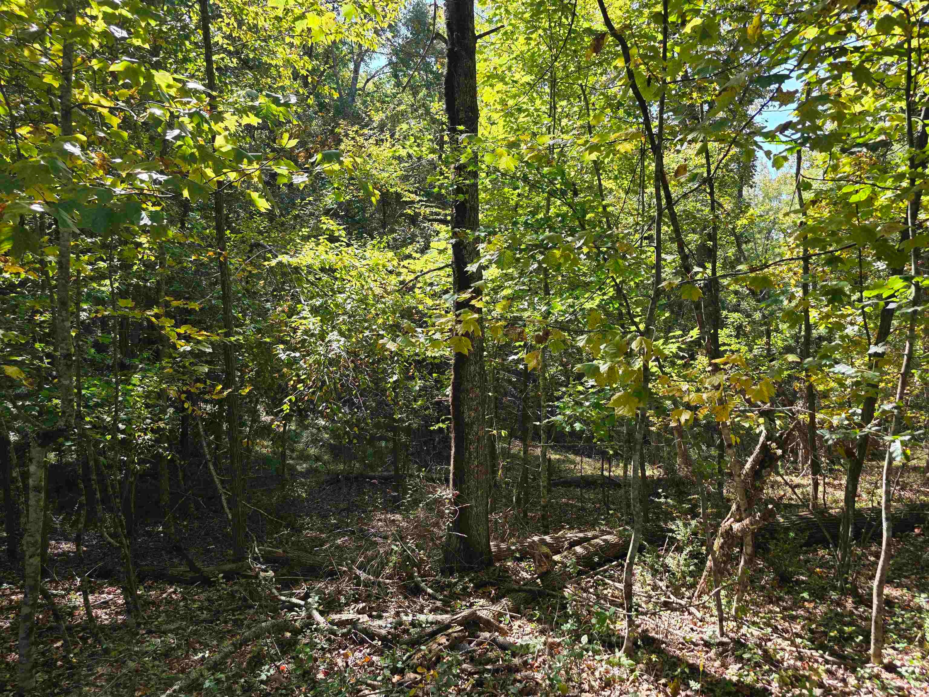 Tbd Ridge Road Northeast Pilot, VA 24138 - Photo 8 of 26 Gallery Image 8