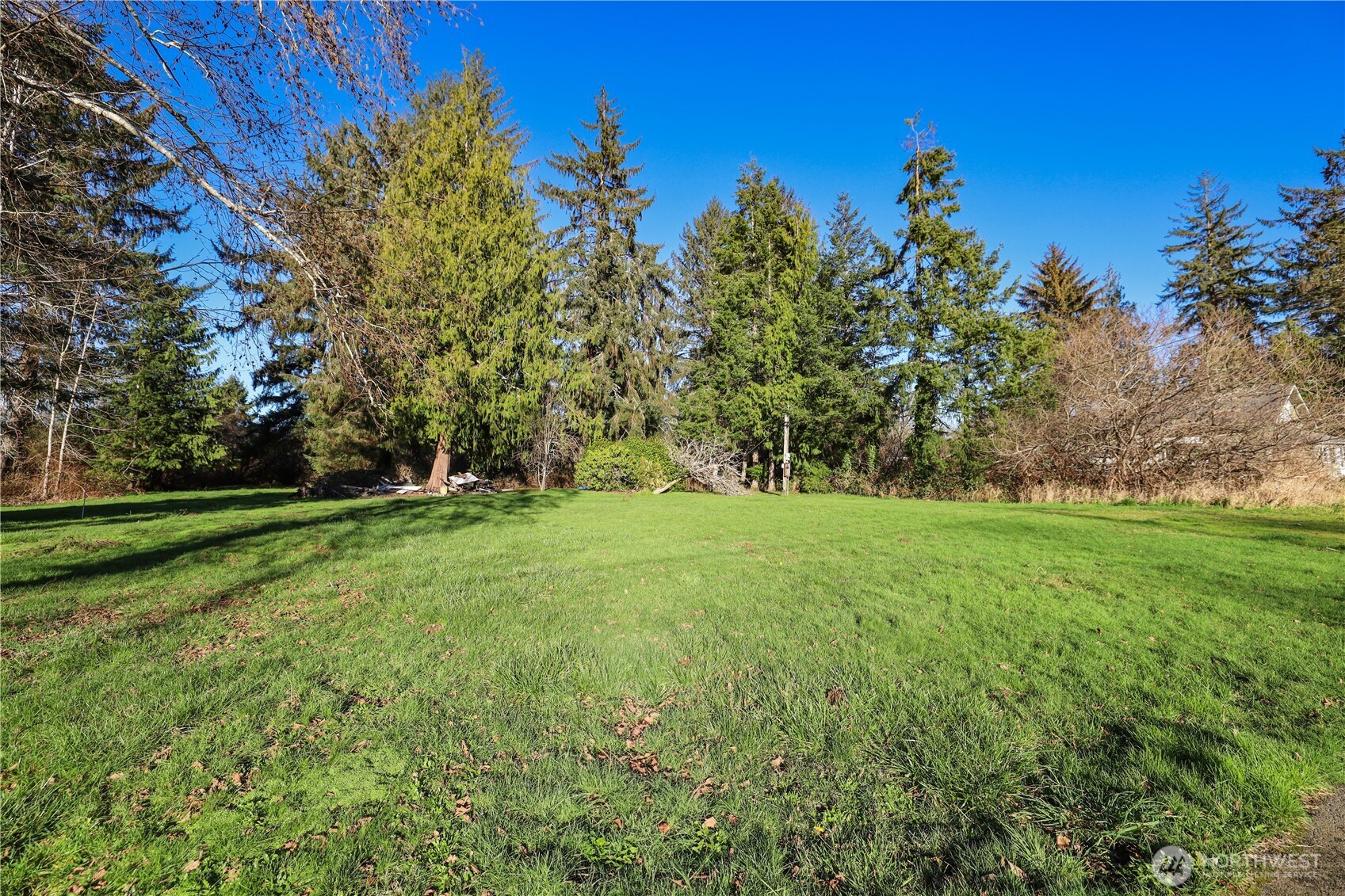 304 West Farrell Street Aberdeen, WA 98520 - Photo 2 of 2 a view of a field with a tree