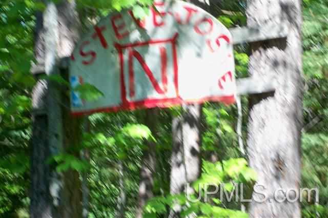 E734 Stella Lake Road Rapid River, MI 49864 - Photo 7 of 13