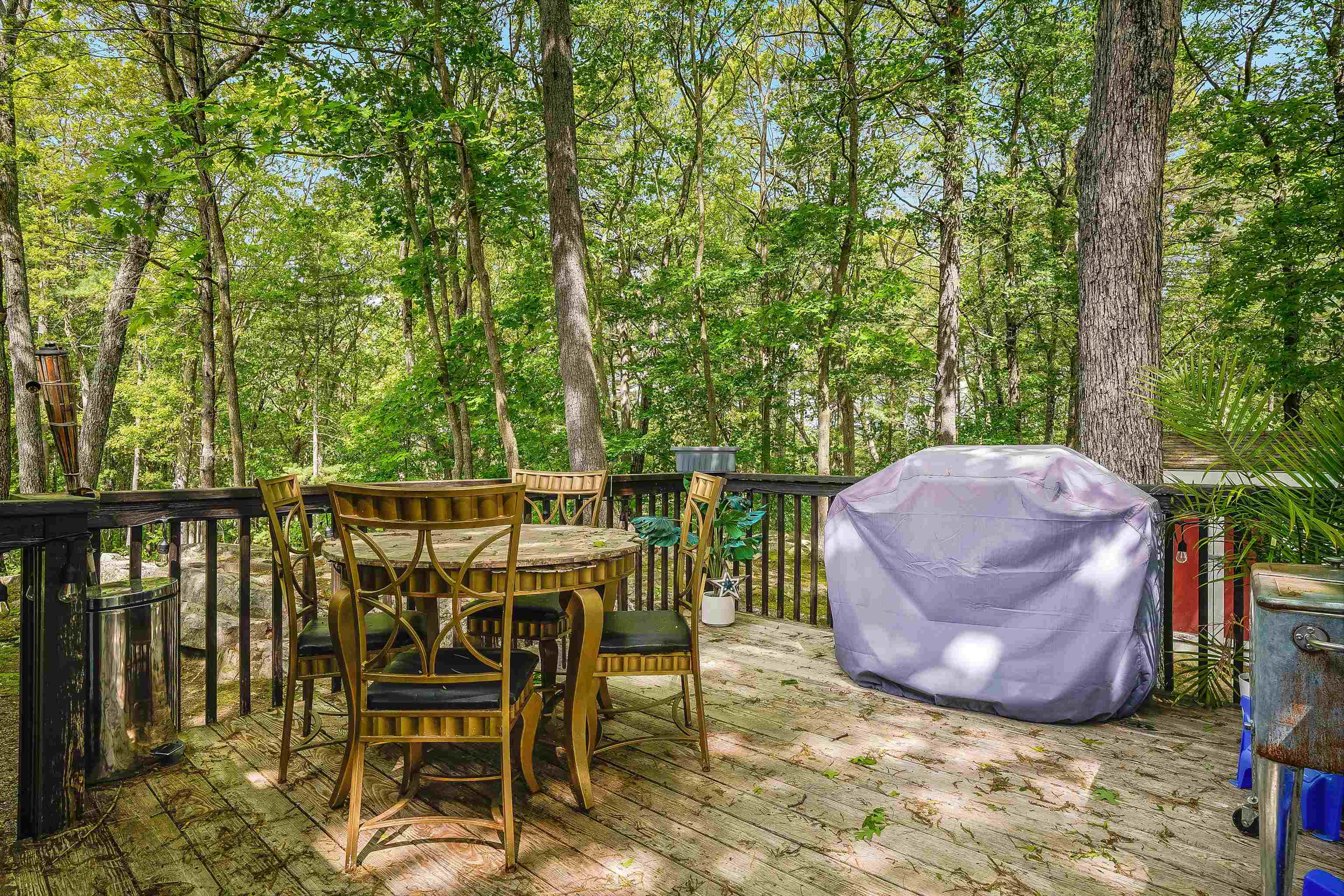 33 Carlene Drive Nashua, NH 03062 - Photo 4 of 27