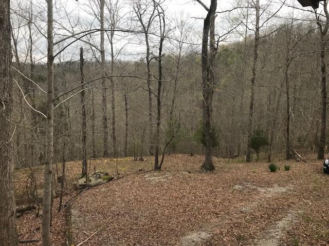 1298 Wesley Chapel Road Somerset, KY 42501 - Photo 11 of 24 IMG_3560