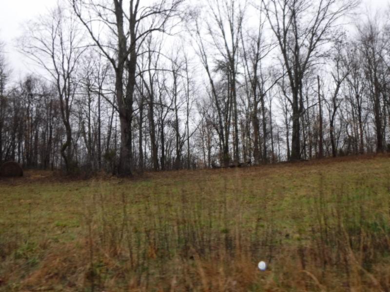 Lot 7 Arrowhead Road Moss, TN 38575 - Photo 2 of 12 DSCF0276