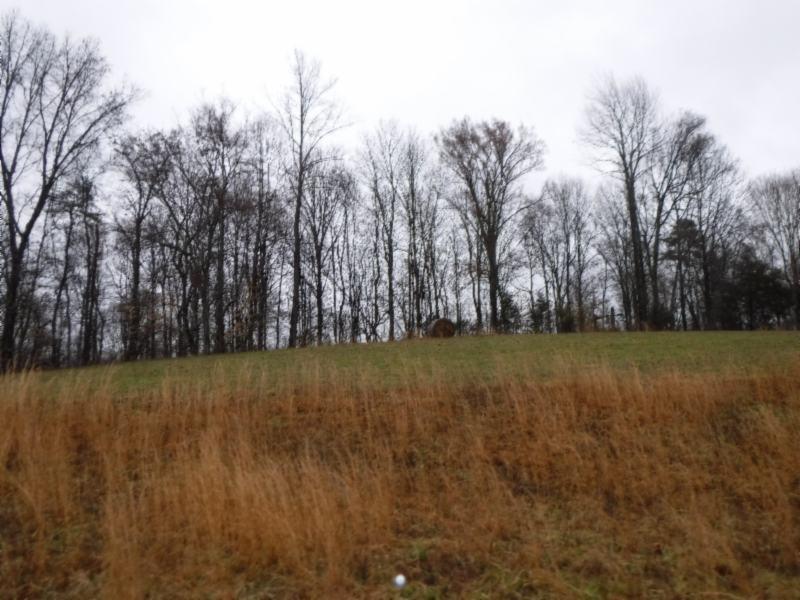 Lot 7 Arrowhead Road Moss, TN 38575 - Photo 3 of 12 DSCF0275