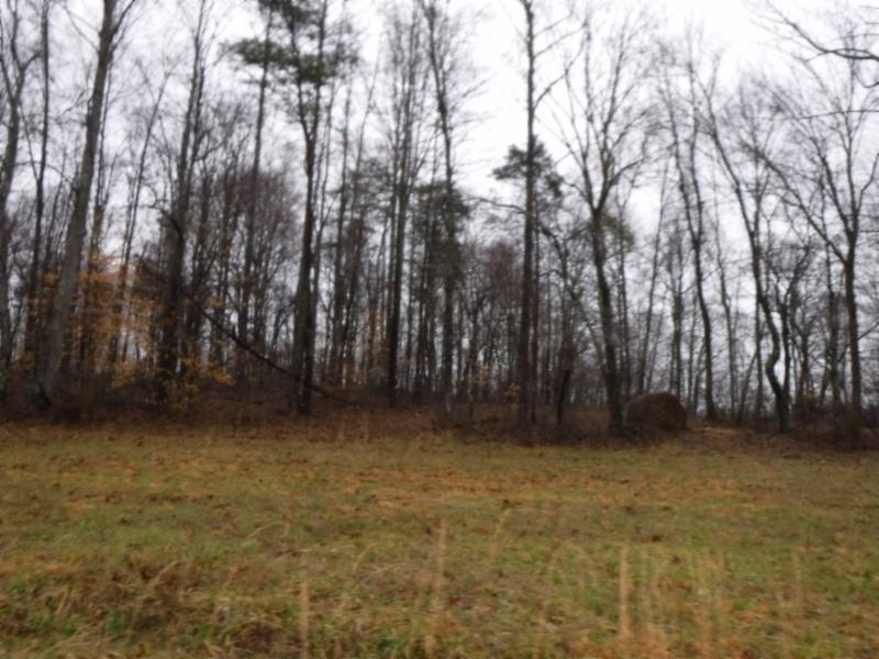 Lot 7 Arrowhead Road Moss, TN 38575 - Photo 4 of 12 DSCF0278