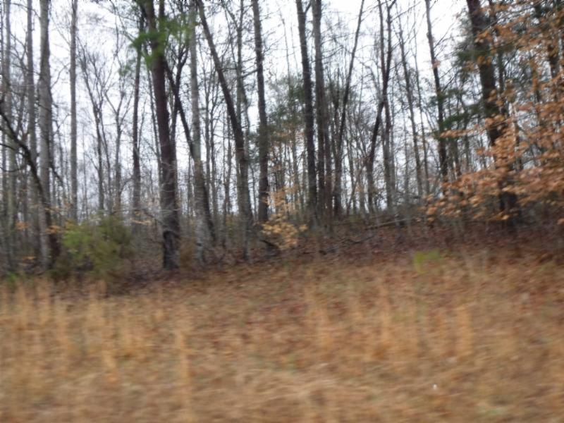 Lot 7 Arrowhead Road Moss, TN 38575 - Photo 5 of 12 DSCF0279