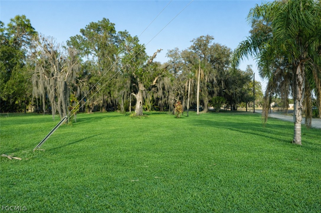 2014 Fort Denaud Road LaBelle, FL 33935 - Photo 4 of 11 a view of a park with trees and bushes