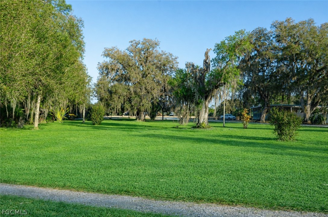 2014 Fort Denaud Road LaBelle, FL 33935 - Photo 5 of 11 a garden view with trees
