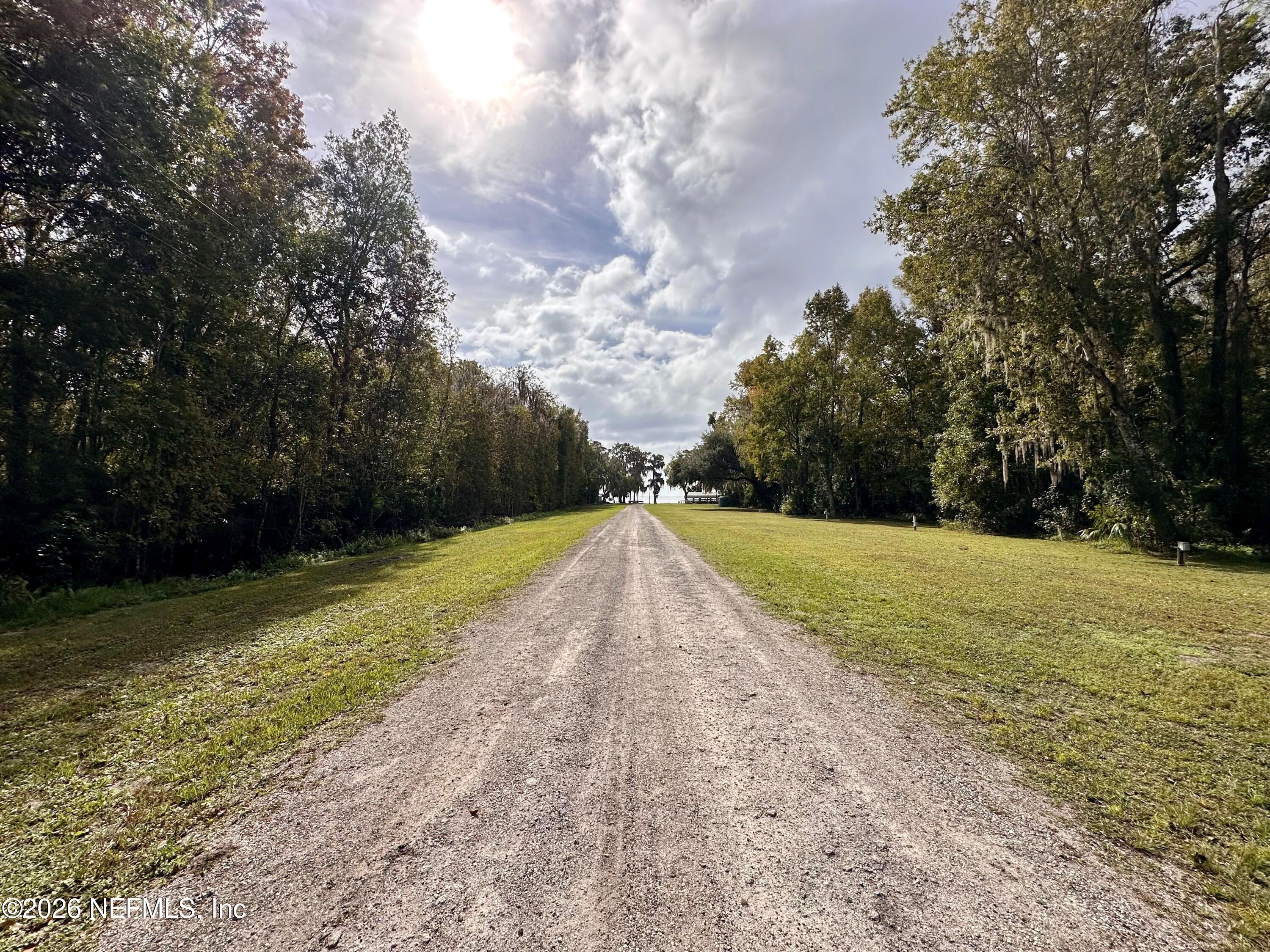 229 Marie Avenue Georgetown, FL 32139 - Photo 12 of 14 a view of a yard with large trees
