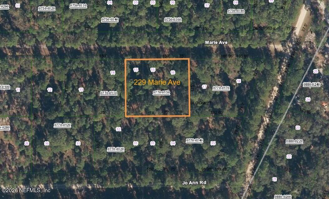 229 Marie Avenue Georgetown, FL 32139 - Photo 5 of 14 a view of a house with a tree
