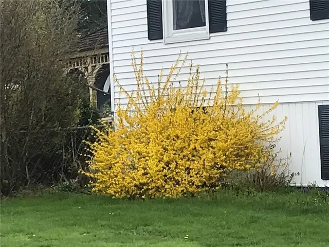 $185,900 | 5 Seneca Street, Sidney, NY 13838