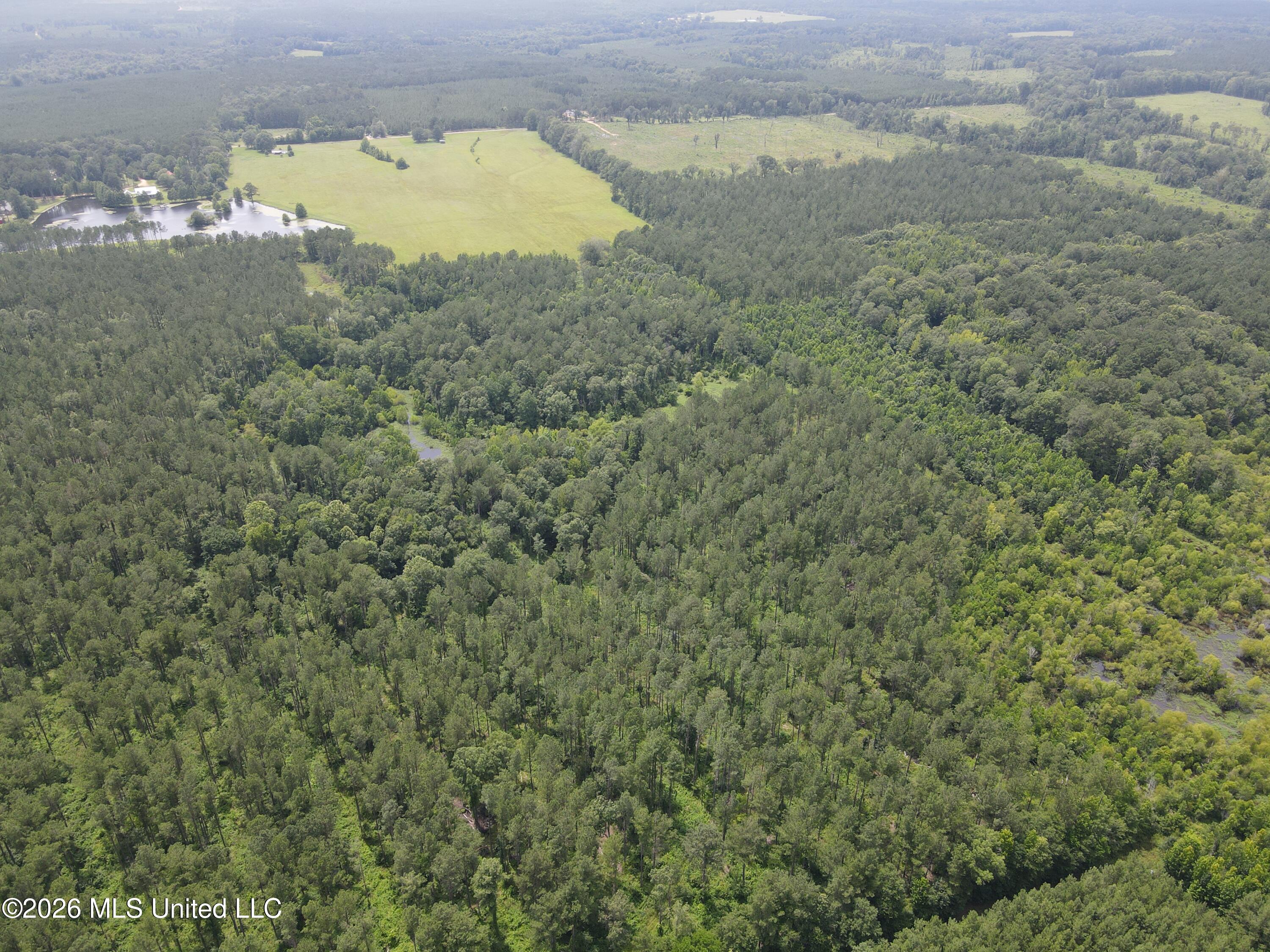 244 Foster Road Sontag, MS 39665 - Photo 68 of 105 35644
