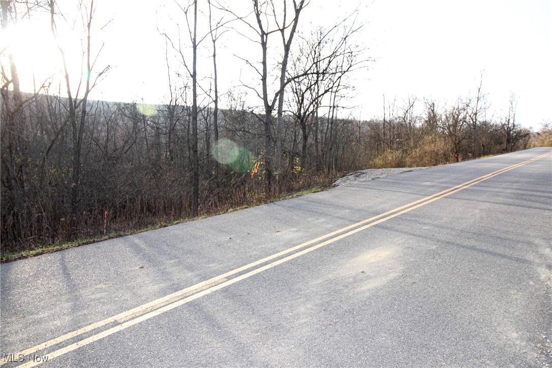 2 Whiskey Run Road Quaker City, OH 43773 - Photo 10 of 39 View of street
